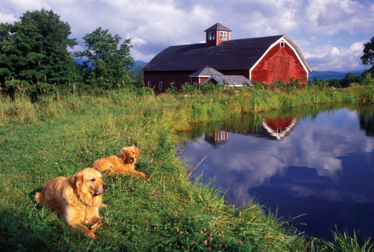 Farm Pond Management